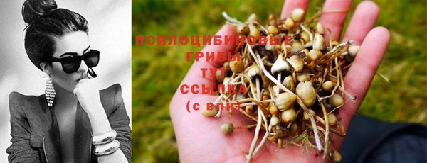 дживик Абдулино