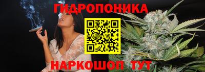 дмт Новозыбков