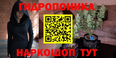 ПСИЛОЦИБИНОВЫЕ ГРИБЫ Новокубанск