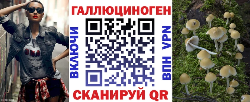 закладки  гидра как войти  Псилоцибиновые грибы Psilocybine cubensis  Советская Гавань 
